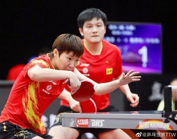 直通德班樊振东王曼昱晋级下一轮   梦龙莎头均止步小组赛